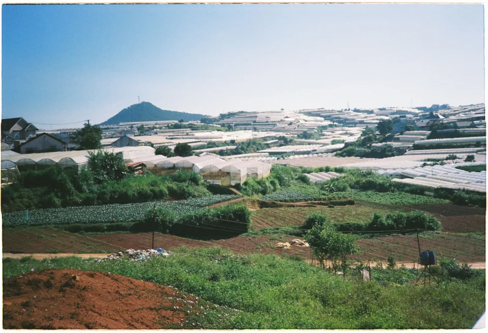 Loại bà con hay mua nhất